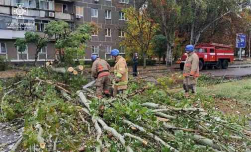 Надзвичайники Нікополя прибрали повалене дерево з проїжджої частини