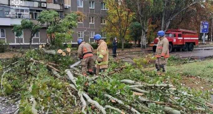 Надзвичайники Нікополя прибрали повалене дерево з проїжджої частини