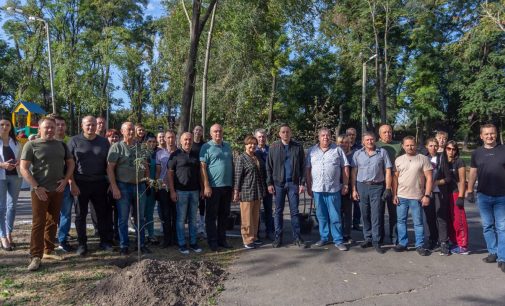 Пів сотні молодих дерев висадили в Камʼянському