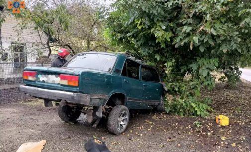 Не впорався з керуванням та врізався в дерево: у Новомосковському районі надзвичайники деблокували водія