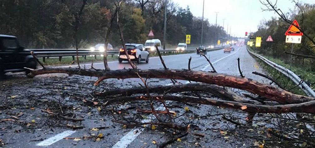 Київ накрив сильний вітер: фото та відео наслідків негоди