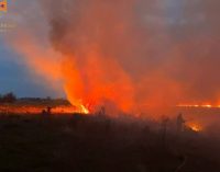 У Запорізькому районі ліквідували масштабне займання в екосистемі