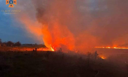 У Запорізькому районі ліквідували масштабне займання в екосистемі