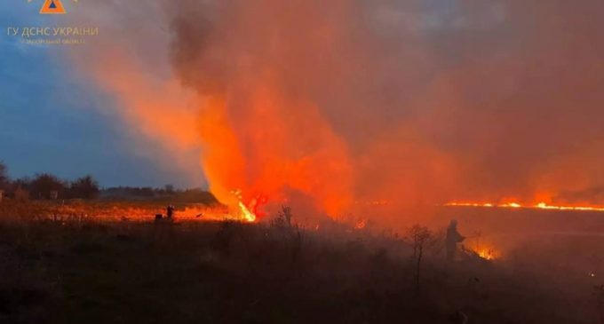 У Запорізькому районі ліквідували масштабне займання в екосистемі