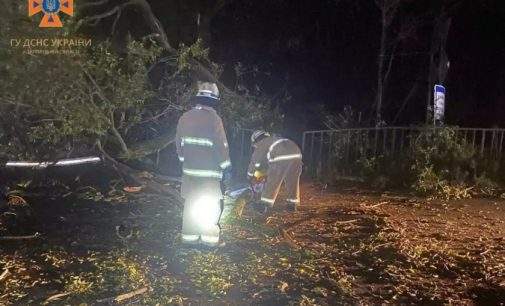 Запорізькі рятувальники прибрали дерева, які впали внаслідок поривів вітру