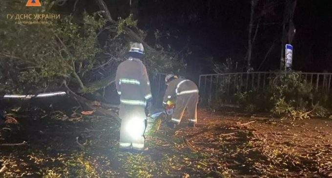 Запорізькі рятувальники прибрали дерева, які впали внаслідок поривів вітру