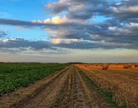 В Україні зафіксовано абсолютний рекорд за кількістю земельних торгів