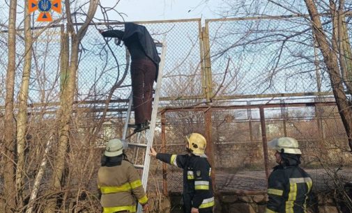 Надзвичайники Запоріжжя врятували чоловіка, який застряг на паркані