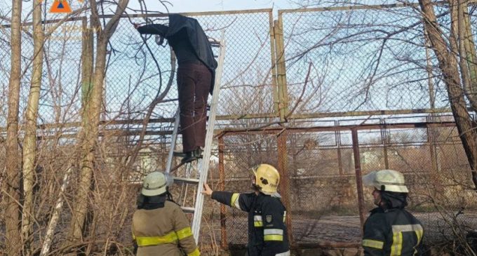 Надзвичайники Запоріжжя врятували чоловіка, який застряг на паркані