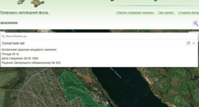 Державі повернуто землі ботанічного заказника вартістю понад 100 млн грн: у Запоріжжі суд задовольнив позов прокурора