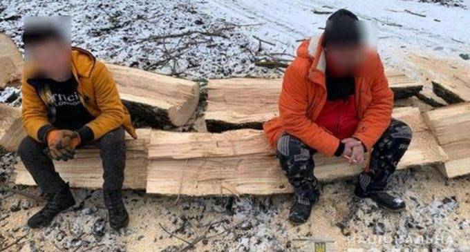 У Дніпровському районі поліцейські викрили лісорубів-порушників: подробиці