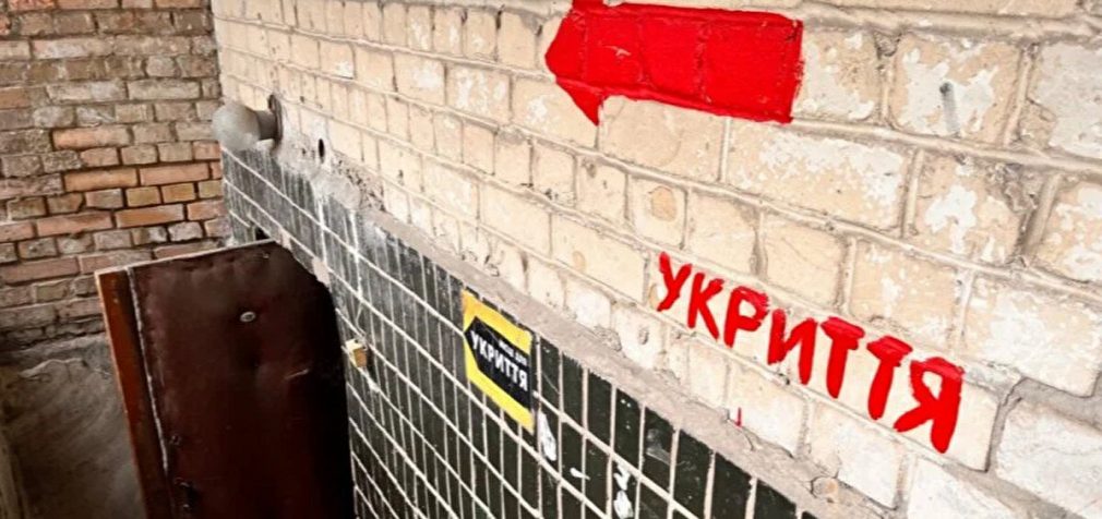 В Україні дозволили брати домашніх тварин в укриття, але є вимога