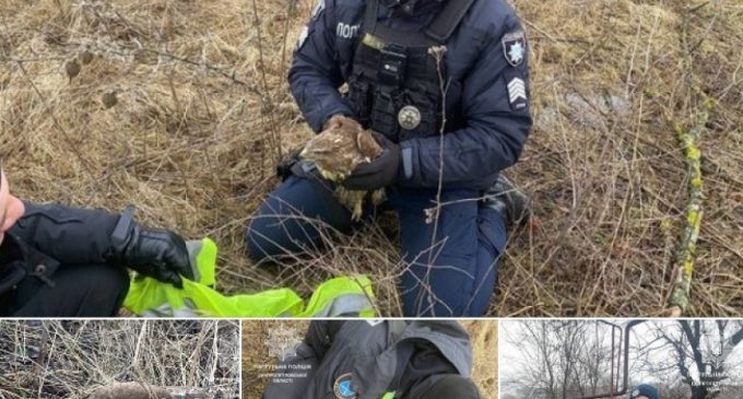 Завдяки небайдужим громадянам патрульні Дніпра врятували птаха на одній із дорожніх станцій