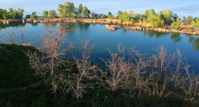 У Києві наприкінці грудня зафіксували три температурні рекорди