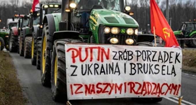 Польські фермери закликали Путіна “навести порядок в Україні”: реакція МВС