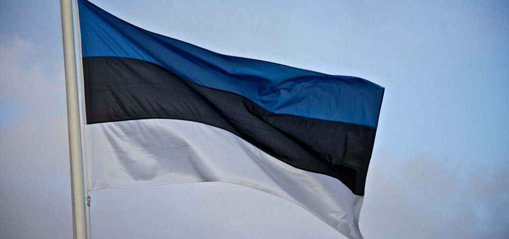 Естонія розробила план допомоги Україні на 120 млрд євро