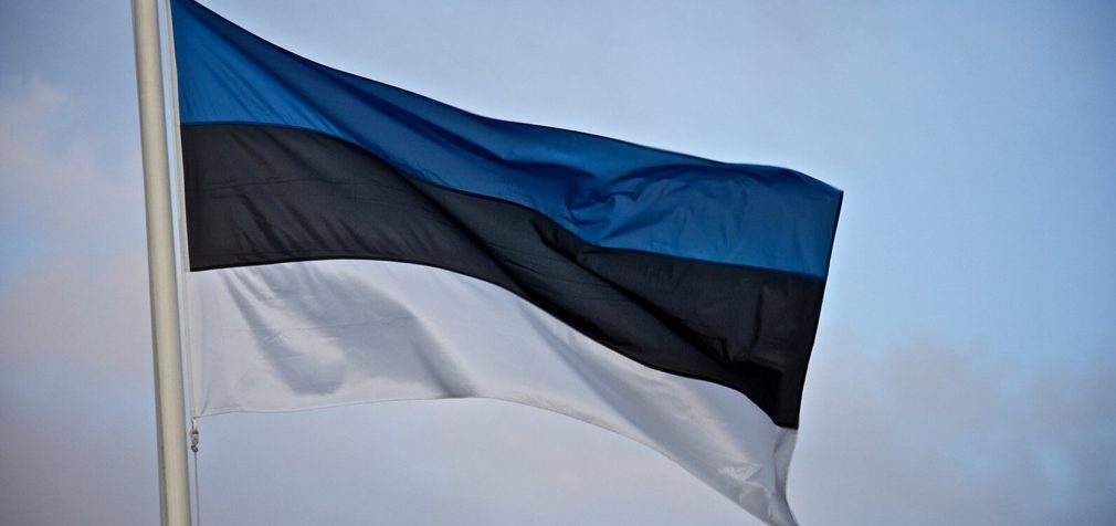 Естонія передасть Україні військову допомогу на 20 млн євро
