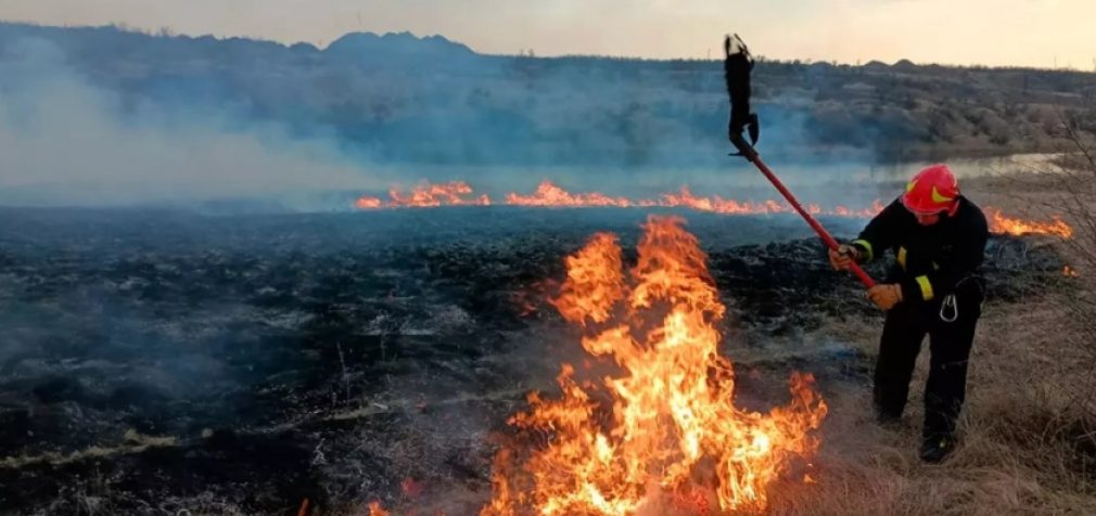 За добу на Дніпропетровщині виникло 105 пожеж в екосистемах: 19 паліїв притягнули до відповідальності
