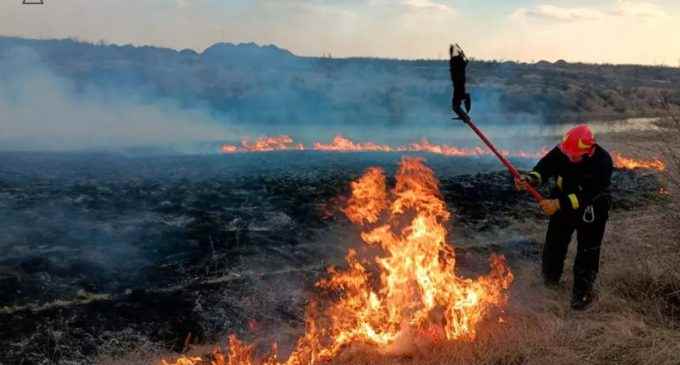 За добу на Дніпропетровщині виникло 105 пожеж в екосистемах: 19 паліїв притягнули до відповідальності