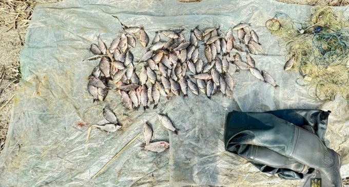 Незаконний вилов риби більше ніж на 160 тисяч гривень: на Нікопольщині затримали 53-річного браконьєра