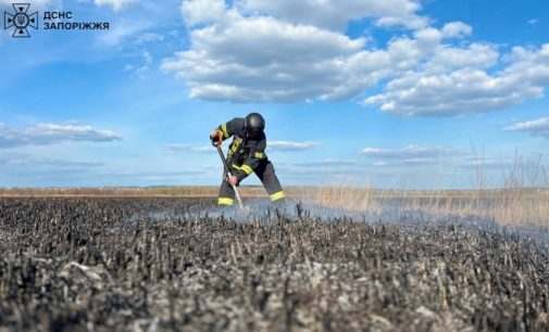 Площа займання 1000 кв. м: у плавневій зоні Дніпра рятувальники ліквідували пожежу