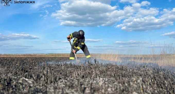 Площа займання 1000 кв. м: у плавневій зоні Дніпра рятувальники ліквідували пожежу