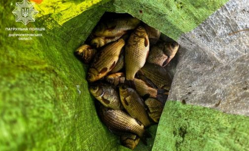 Виловлював рибу сіткою під час нерестової заборони — у Дніпровському рацоні виявили порушника