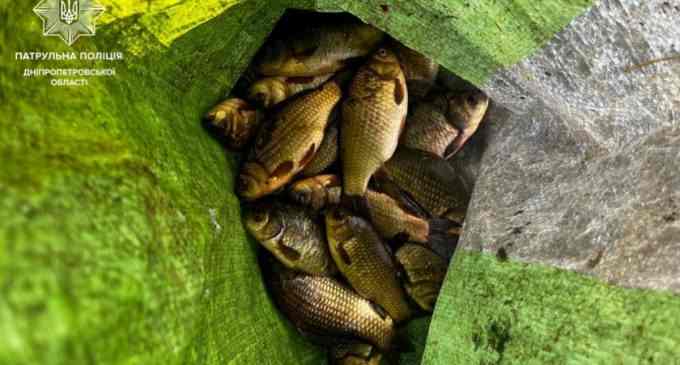 Виловлював рибу сіткою під час нерестової заборони — у Дніпровському рацоні виявили порушника