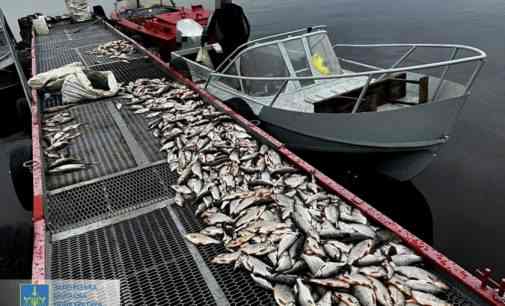 Наловили риби на 3 млн грн: у Запоріжжі виявили двох браконьєрів