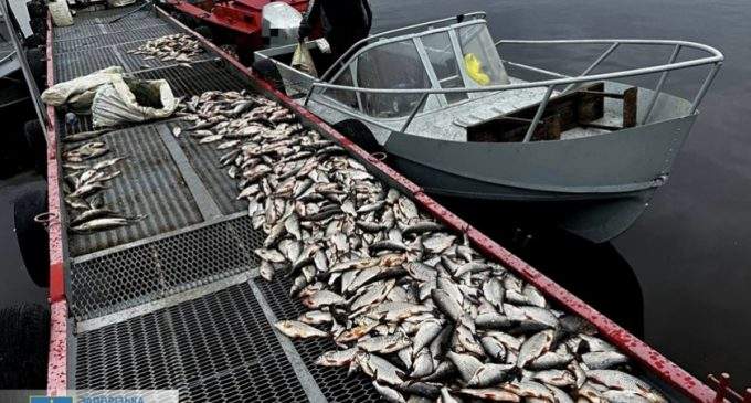 Наловили риби на 3 млн грн: у Запоріжжі виявили двох браконьєрів