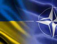 Україні не нададуть офіційне запрошення до вступу в НАТО на саміті у Вашингтоні – NYT