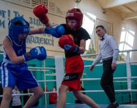 У Кам’янському пройшов чемпіонат міста з боксу