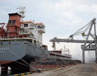 Українським морським коридором вже експортували понад 36 млн тонн вантажів