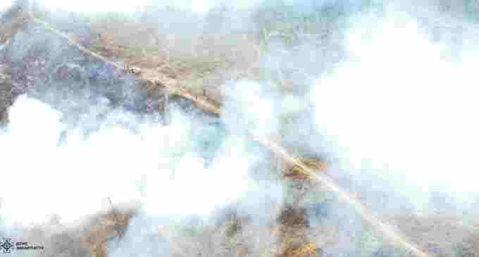 На Закарпатті спалахнула масштабна пожежа на території лісництва