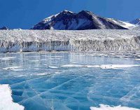 В Антарктиді зафіксували найбільший світовий стрибок температури