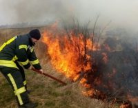 Великі штрафи та навіть в’язниця: що загрожує українцям за спалювання листя та сухої трави
