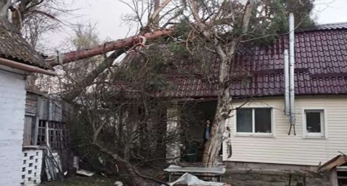 В Україні через шквальний вітер без світла залишилось 276 населених пунктів
