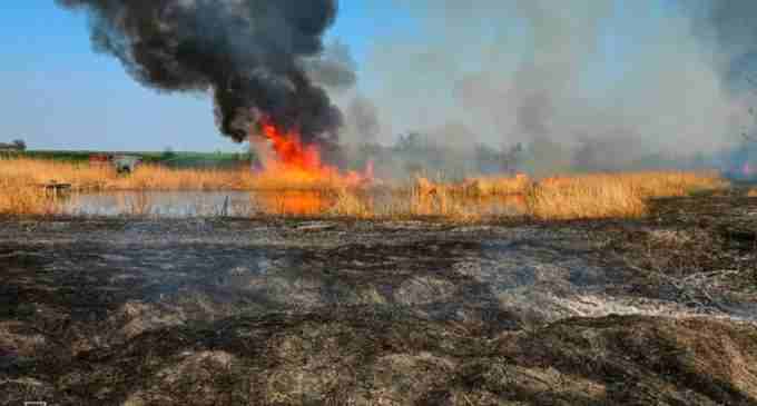 33 загоряння за добу: на Дніпропетровщині продовжують невпинно боротися з пожежами в екосистемах