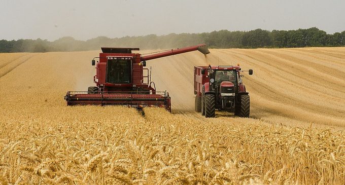 Аграрії найчастіше закривали бізнес під час повномасштабного вторгнення – дослідження