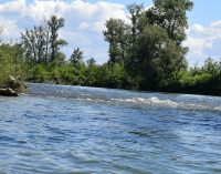 Держприкордонслужба: На берег Тиси винесло тіло 10-го з початку травня потопельника