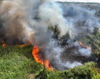 У Запоріжжі рятувальники ліквідували масштабну пожежу на відкритій території