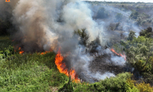 У Запоріжжі рятувальники ліквідували масштабну пожежу на відкритій території