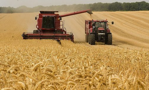 Мінагрополітики заявило, що в Україні розпочалися жнива