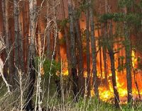 На Харківщині пожежі, вогнем охоплено майже 4 тисячі гектарів лісу