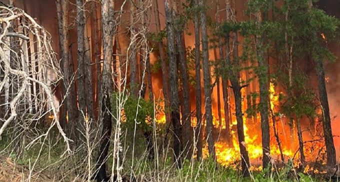 На Харківщині пожежі, вогнем охоплено майже 4 тисячі гектарів лісу