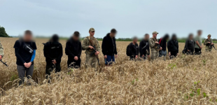 Десятеро ухилянтів за раз: група чоловіків намагалась втекти з України пшеничним полем