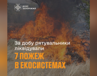 За минулу добу рятувальники Запоріжжя ліквідували 7 пожеж в екосистемах