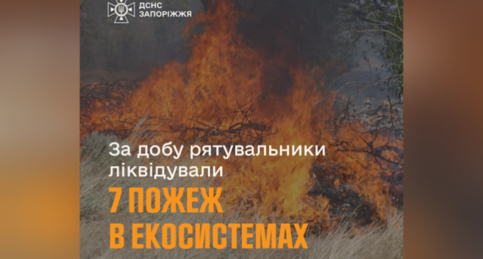 За минулу добу рятувальники Запоріжжя ліквідували 7 пожеж в екосистемах