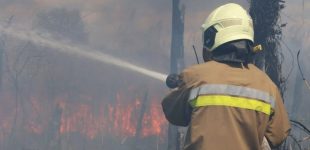 За минулу добу на території Запорізької області рятувальники ліквідували 11 пожеж в екосистемах
