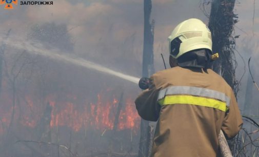 За минулу добу на території Запорізької області рятувальники ліквідували 11 пожеж в екосистемах